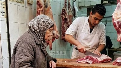 كل يوم كانت سيده