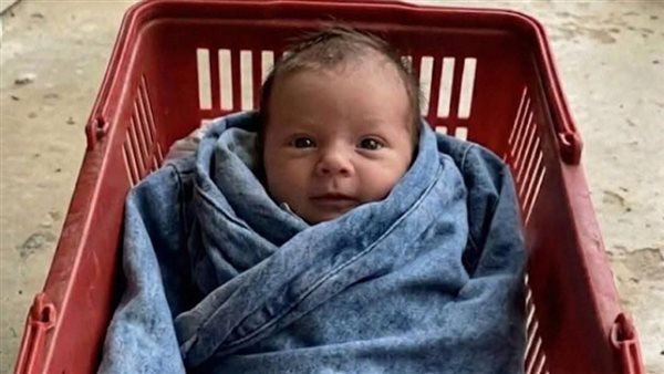 لمحة نيوز
