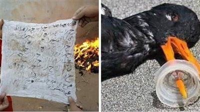 ليلة في المقابر بقلم حمادة هيكل 
