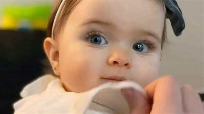 جد الصعيد الجزء الاول بقلم ياسمين 